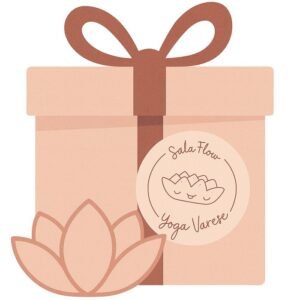 SalaFlow-Fai_un_regalo